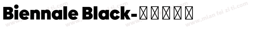 Biennale Black字体转换